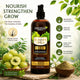 Rejuvenate Your Hair with Brahmi Amla Shampoo Enriched with Shikakai, Coconut, Olive Oil, and Honey