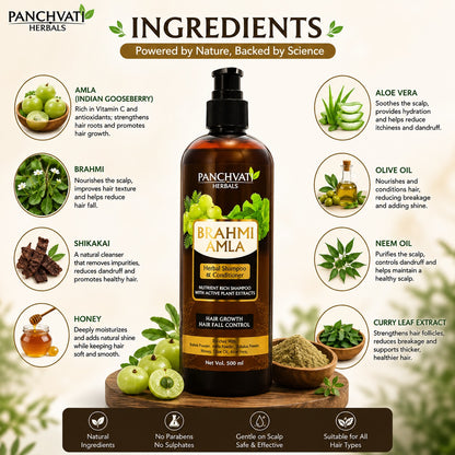 Panchvati Herbals Brahmi Amla Herbal Shampoo & Conditioner for Hair Care, 500 ml Each, Pack of 2 (Total 1000 ml)