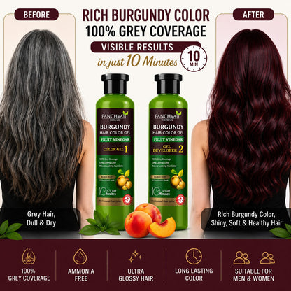Panchvati Herbals Burgundy Hair Color Gel with Fruit Vinegar | No Ammonia | 100% Grey Coverage | Long Lasting Hair Color | 500ml x 2