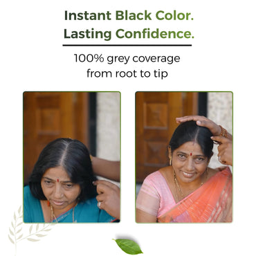 Fruit Vinegar Black Hair Color Gel |  100% Grey Coverage | 25ml × 10 Pouch= 250 ml