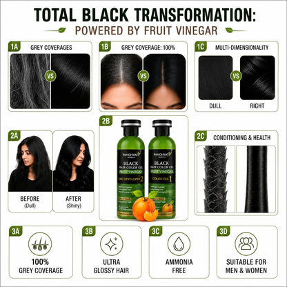 Black Hair Color Gel  Fruit Vinegar (500ml x 2 = 1 Ltr)