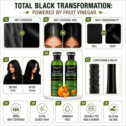 Black Hair Color Gel  Fruit Vinegar (500ml x 2 = 1 Ltr)